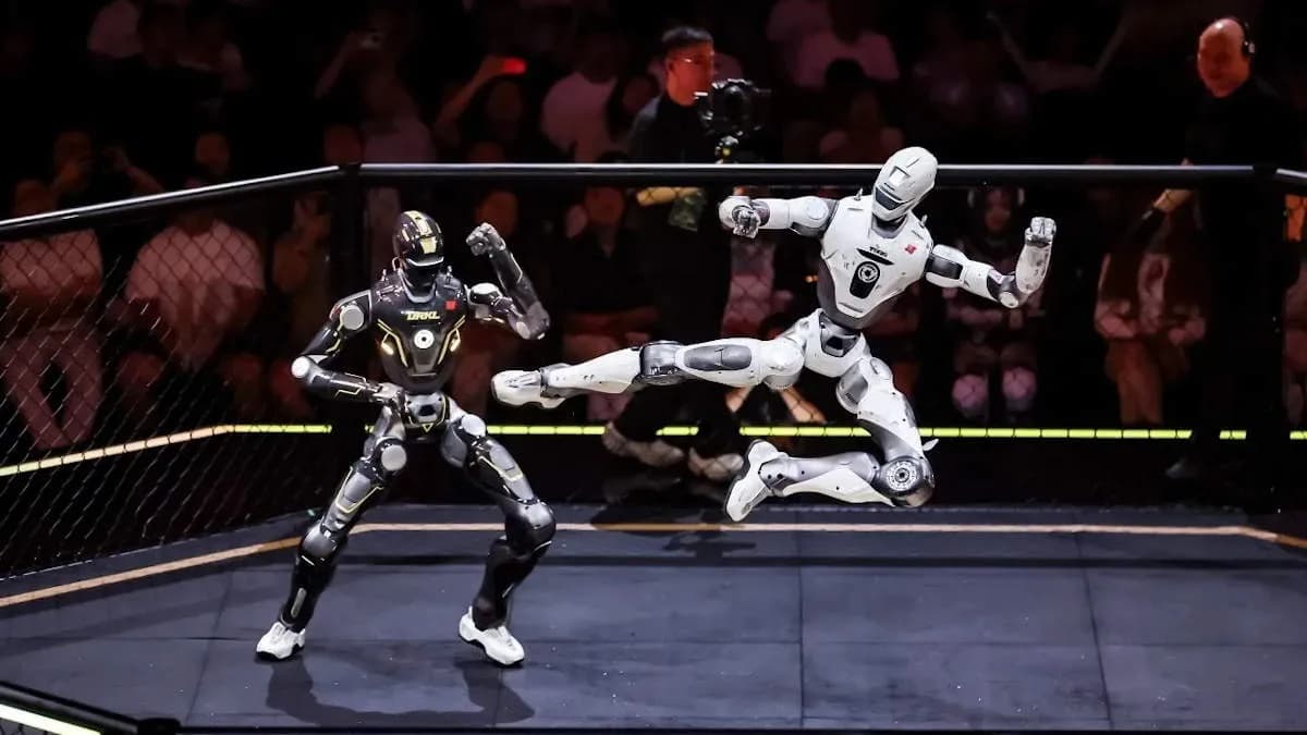 Combate de robôs humanoides: o que o torneio T800 testa de verdade